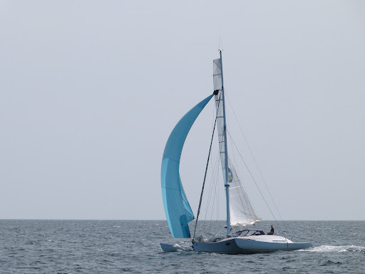 Aile Bleue
