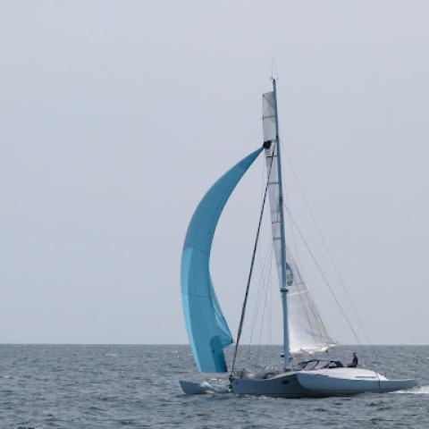 Aile Bleue
