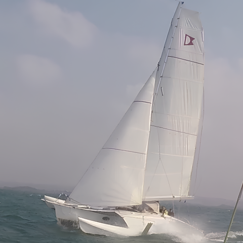 Fleet Echo 36