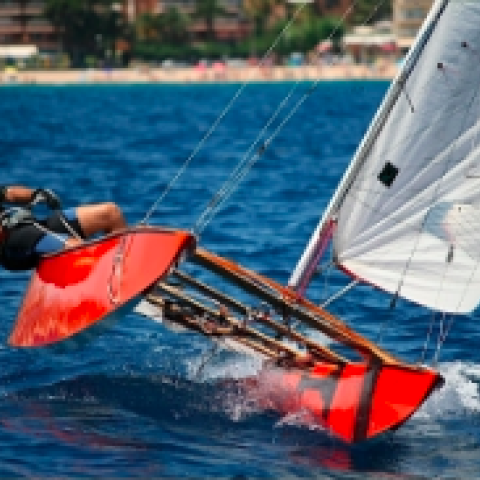Patin catalan