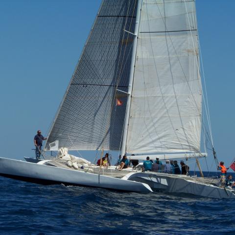 VSD